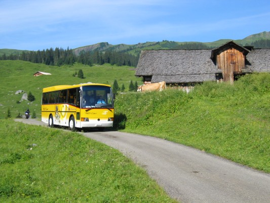 Grindelwald bus